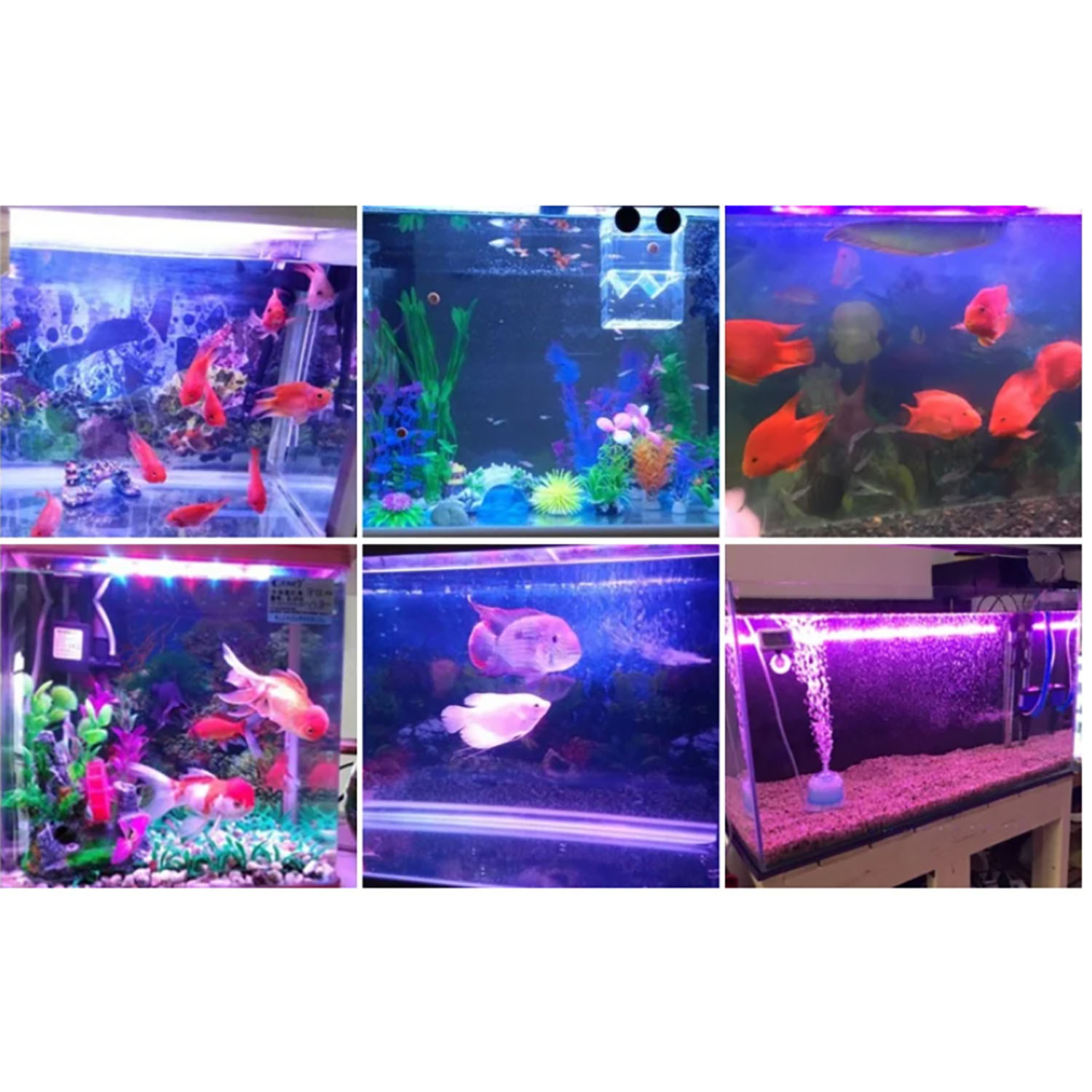 Marine Aquarium Uv - Illuminazione LED per Acquario Marino 50W