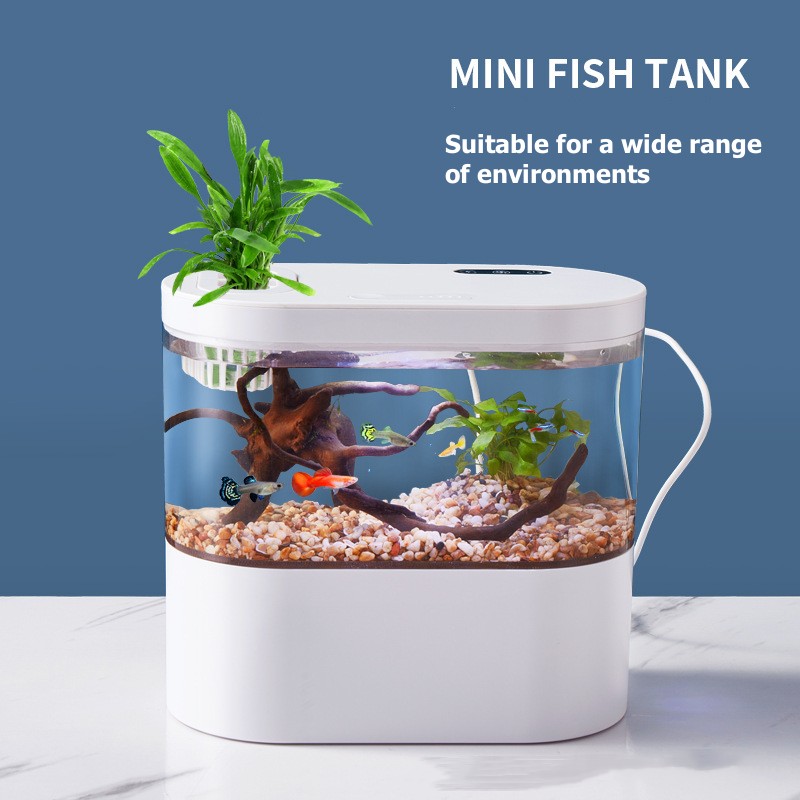Mini Acquario da Tavolo con Si - Marine Aquarium Water Change recensione e prezzo