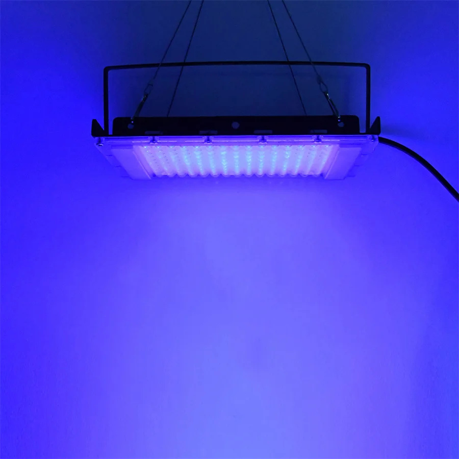 300W UV 395nm Luce nera Ultrav - Marine Aquarium Uv recensione e prezzo